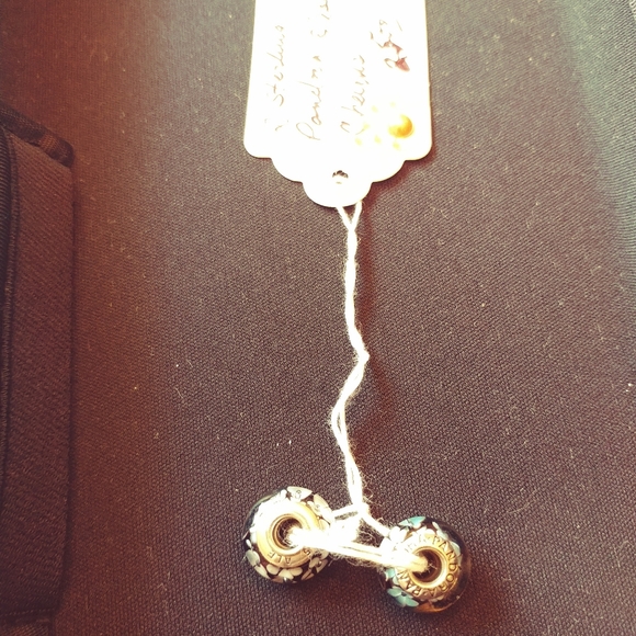 Sterling Silver Pandora Charms - Picture 2 of 4